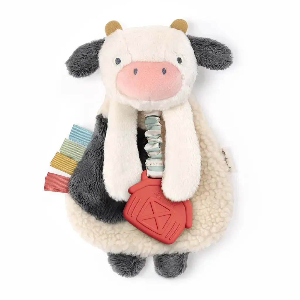 Itzy Ritzy Lovey Plush Silicone Teether Toy