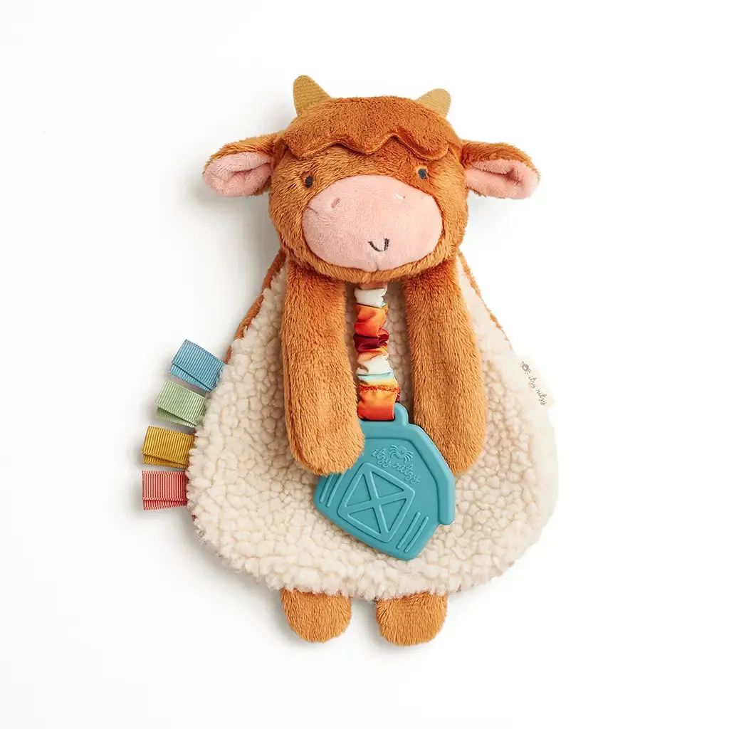 Itzy Ritzy Lovey Plush Silicone Teether Toy